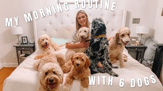 MY MORNING ROUTINE WITH 6 DOGS  4 Goldendoodles and 2 Poodles [upl. by Ailem380]