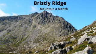 Bristly Ridge via sinister gully [upl. by Certie]