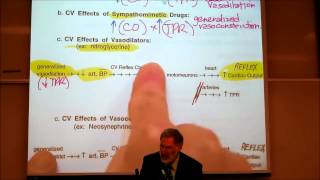 AUTONOMIC DRUGS PART 2 Epinephrine amp Dosage Calculations by Professor Fink [upl. by Llerad180]