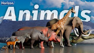 Animals Size Comparison  3D Real Scale [upl. by Haikezeh]