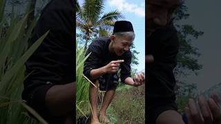 CARA MENANGKAP IKAN DI SELOKANshorts [upl. by Malvin]