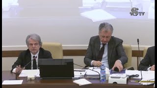 Audizione del Presidente del CNEL sul DDL Bilancio 2024 [upl. by Merritt]