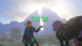 I Did 100 in Zelda TotK Was it Worth it [upl. by Ennaeiluj]