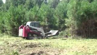 Takeuchi TL150 Mowing Pine Trees [upl. by Darci]