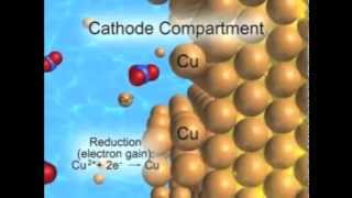 CuZn Electrochemical Cell Animation [upl. by Daitzman]