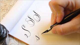 The Letter S  Basic Calligraphy Tutorial [upl. by Irot]