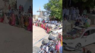 💃Alvira Mir 30 Garba 💃 2024 APDJBhanvad gujarat garba shorts garbalive trending viralvideo [upl. by Neneek218]