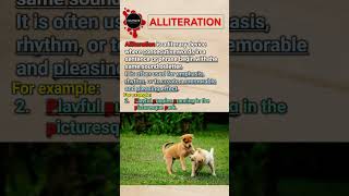 What is ALLITERATION🤔Why is it used Learn with examples shortsyoutube alliteration [upl. by Diley406]