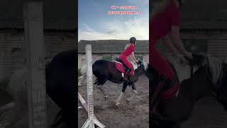 Страшные мысли horse horseplay horseriding equestriansports рекомендации рек тренды [upl. by Euqinahs679]