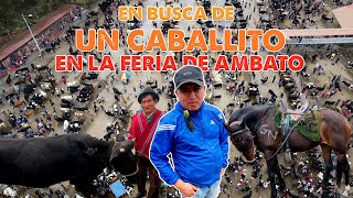 FERIA GANADERA 🐄 DE AMBATO CON LOS WAWAS CHAGRAS TUNGURAHUA I GEO LEMAI [upl. by Litch]