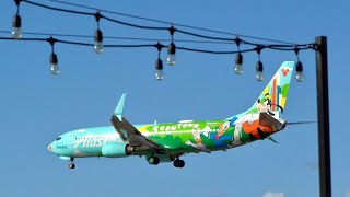 5 Minutes LAX Airport Plane Spotting Landing Losangeles short viral videos new shorts view [upl. by Surat753]