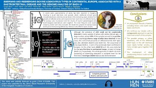 e poster presentation Vidovszky IUMS 2024 [upl. by Ainer537]