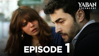 Yaban Çiçekleri  Episode 1 Subtitled in English YabanCicekleriEnglish [upl. by Nolrev236]