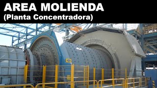 Molienda Operación y Mantenimiento Básico de Planta Concentradora [upl. by Shay]