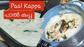 How to make Paal kappa  Paal kappa  Kerala Paal kappa recipe  Tapioca Tapioca in coconut milk [upl. by Zetnauq]