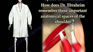 Important Anatomical Spaces Shoulder Anatomy  Everything You Need To Know  Dr Nabil Ebraheim [upl. by Palmore]