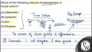 Which of the following induces morphogenesis in tissue culture [upl. by Nivram]