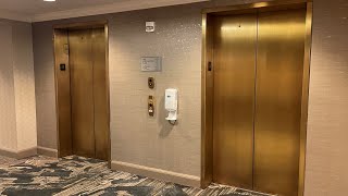 Otis Gen2 Elevators  Marriott Cleveland East  Warrensville Heights OH [upl. by Emelyne]