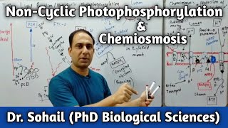 Light reaction of Photosynthesis  NMDCAT 2021  Cyclic and noncyclic photophosphorylation [upl. by Dnomder186]