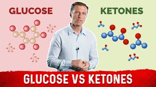 Testing Glucose or Ketones Which is More Important [upl. by Sherman]