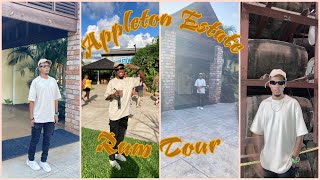 I WENT TO APPLETON ESTATE RUM TOUR JAMAICA 🍹 [upl. by Hallutama]