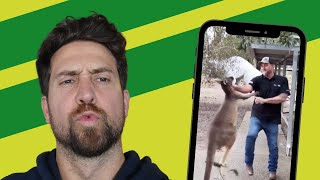 Man Attacked by Kangaroo Fights Back [upl. by Asyla]