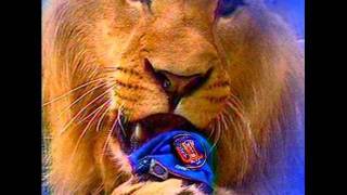 LEONES DEL CARACAS CAMPEONES [upl. by Waterer]