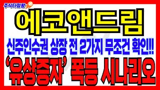 에코앤드림 신주인수권 상장 전 이 2가지는 무조건 확인하세요 평단을 낮출수 있는 핵심 유증 폭등 시나리오 에코앤드림 하이니켈전구체 새만금산단 NCM [upl. by Cirdor703]