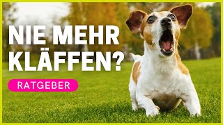 HUND DAS BELLEN ABGEWÖHNEN  Ursachen amp Hilfe bei quotKläffenquot [upl. by Dotson]