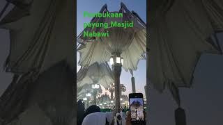 Pembukaan payung masjid Nabawi tafakur fypシ゚viral monetisasi shortvideo [upl. by Brindell479]