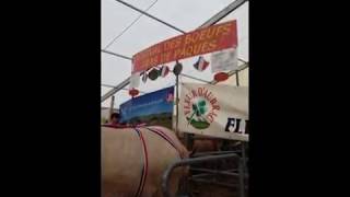 19ème Festival des Boeufs gras de Pâques à Laguiole  2018 [upl. by Jacquenette]