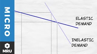 Elasticity of Demand [upl. by Now]