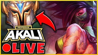 PROFESSOR AKALI  First YouTube Stream in YEARS  League of Legends [upl. by Itnava]