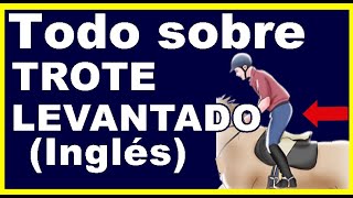 ✅🐴Como aprender el trote levantado beneficios para el caballo trote inglés Doma clásica [upl. by Rebmetpes]