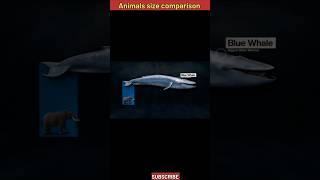 Animals size comparison science sciencefacts trendingshorts youtubeshorts [upl. by Oxford]