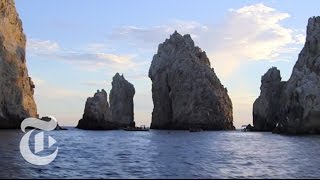 What to Do in Los Cabos Mexico  36 Hours Travel Videos  The New York Times [upl. by Aeslehs]