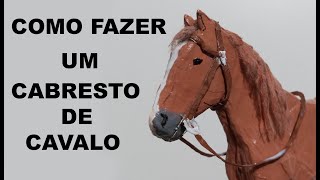 Como fazer cabresto de cavalo [upl. by Malonis548]