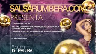 Orquesta Zafra  Estamos En Salsa [upl. by Surtimed]