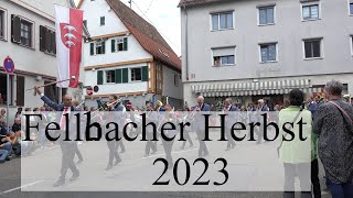 Fellbacher Herbst 2023 Volksfestumzug in voller Länge in 4K mit allen 51 Gruppen [upl. by Toll623]