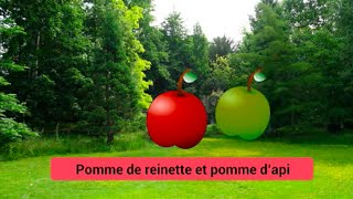 Pomme de reinette et pomme dapi  comptine [upl. by Imre]