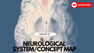 Neurological System Concept Map [upl. by Dulsea]