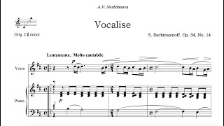 Vocalise S Rachmaninoff  B Minor Piano Accompaniment [upl. by Accebber226]