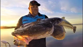 Surface fishing for Flathead 80cm flattie off the top [upl. by Ekusoyr]