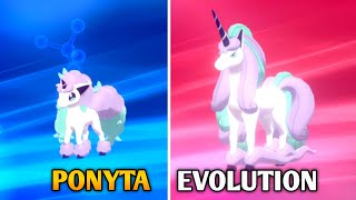 How To Evolve Galarian Ponyta Into Galarian Rapidash In Pokemon Sword amp Shield  Galar Pokedex [upl. by Ries]