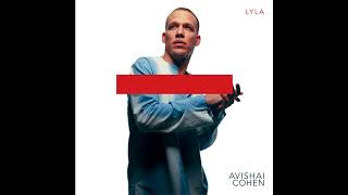 Avishai Cohen  Ascension [upl. by Enined195]