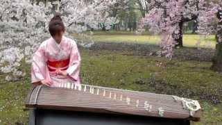 さくらSakura 25絃箏 25 strings koto [upl. by Sutsugua]