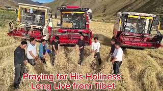 Brave Tibetan from Tibet praying for His Holiness Long Live 🙏 [upl. by Konstantine]