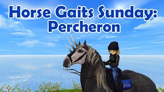 Horse Gaits Sunday Percheron  SSO [upl. by Anyrak]