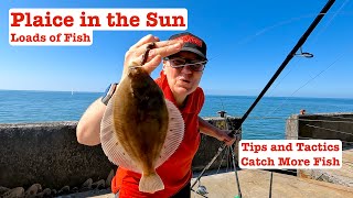 Plaice in the Sun Brighton Marina Tips and Tactics Loads of Fish [upl. by Ydissahc]