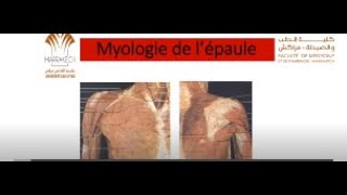 ANATOMIE FMPM MYOLOGIE DE L’ÉPAULE [upl. by Daigle315]